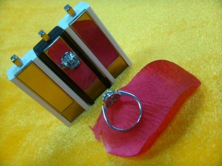 時(shí)尚如鉆戒 便宜如“白菜”善耕堂U盤圖